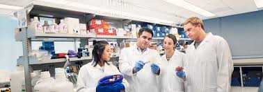 Department of Microbiology | NYU Langone Health