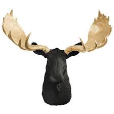 Wall Charmers Black Gold Faux Taxidermy Moose Head Mount 110 Liked On Polyvore Featuring Home Home Decor Sc Moose Head Decor Moose Head Faux Taxidermy
