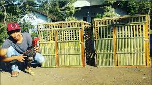 .ukuran serta model kandang ayam bangkok baik untuk ternak maupun untuk kandang umbaran.sebenarnya cara membuat kandang ayam bangkok relatif mudah,tidak membutuhkan teknik kusus,asal semua bahan sudah tersedia,pasti siapa saja bisa untuk membuatnya. Kandang Umbaran Ayam Bangkok Sederhana Youtube