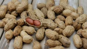 Rasa rempeyek yang enak, renyah, dan sedap dengan irisan halus daun jeruk sangat cocok dijadikan teman bersantai. 10 Khasiat Kacang Tanah Yang Anda Perlu Tahu The Diagnosa
