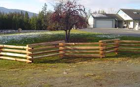 Maybe you would like to learn more about one of these? Mountainbark