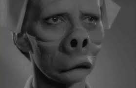 Horror Gifs Primo Gif Latest Animated Gifs Halloween gif halloween horror samhain halloween halloween inspo halloween wallpaper. horror gifs primo gif latest