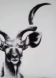 Kudu Study Iiii Art Print Art Charcoal Art Africa Drawing