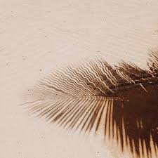 Check spelling or type a new query. Coklat Susu