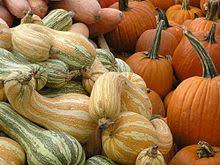 Check spelling or type a new query. Squash Wiktionary