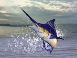 The Bahamas National Fish The Blue Marlin A Relative Of The Sailfish And Swordfish Is Easily Recognizable For The L Blue Marlin Fish Marlin Fishing Blue Marlin