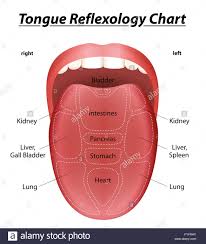 Tongue Reflexology Chart With Description Of The
