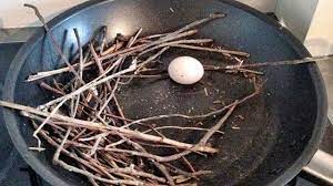 We did not find results for: Merpati Nyasar Bertelur Di Penggorengan Rumah Orang Global Liputan6 Com