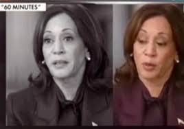 This is your daily reminder: JD Vance is a continual embarrassment.