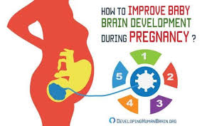 Pin On Pregnancy Brain