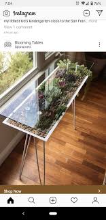 Succulent Table In 2020 Terrarium Table Decor Plant Decor