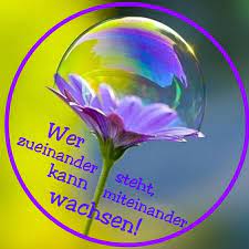 Spruche Zitate Und Gedichte App Kostenlos Spruche Zitate Leben Spruche Zitate Aufmunternde Spruche