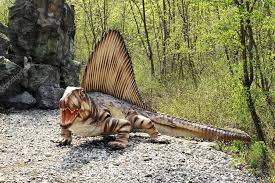 Aside from the potential advantage of controlled thermoregulation, dimetrodon had two different kinds of teeth, hence the reason for its name. Stockfotos Dimetrodon Bilder Stockfotografie Dimetrodon Lizenzfreie Fotos Depositphotos