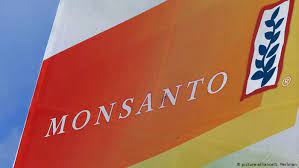 The monsanto company (/mɒnˈsæntoʊ/) was an american agrochemical and agricultural biotechnology corporation founded in 1901 and headquartered in creve coeur, missouri. Bayer Hat Ein Neues Problem Mit Monsanto Aktuell Amerika Dw 31 05 2019