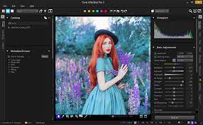 Here are the 20 best free photo editors online tools and free image editing software for windows 10, linux os, and mac computers and laptops. 13 Best Raw Photo Editors In 2021