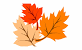 Fall Leaves Clip Art Border