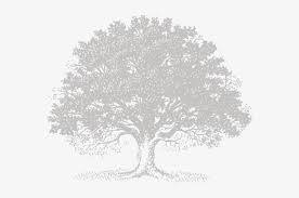 All contents are released under creative commons cc0. Live Svg Royalty Free Stock Techflourish Collections Black Oak Tree Logo 861x600 Png Download Pngkit