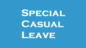 Image result for special leave