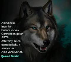 Huseyin Efe Adli Kullanicinin Guzel Sozler Panosundaki Pin 2020 Resimli Alintilar Guzel Soz Alintilar
