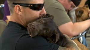 Man's best friend helping war veterans heal