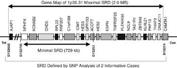 Check spelling or type a new query. Expression And Sequence Analysis Of Candidates For The 1p36 31 Tumor Suppressor Gene Deleted In Neuroblastomas Oncogene