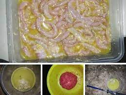 Pengelolaan air kolam ikan lele. Cara Terbaik Guna Umpan Ikan Keli Umpan