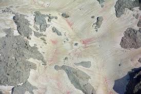 Blutschnee blutschnee oder roter schnee ist ein naturphänomen, bei dem sich altschnee aus dem winter durch mikroorganismen (schneealgen) während der schmelzperiode rosarot bis karminrot färben kann. Blutschnee Salzburgwiki