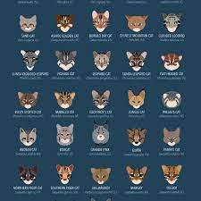 The World S Small Wild Cats And Their Iucn Red List Status In Download Scientific Diagram