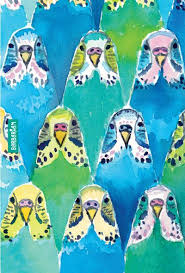 Budgie By Barbarian Cases Wallpapers Cute Art Colorful Art Phone Wallpaper Patterns Budgies