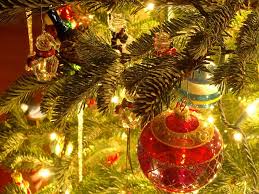 Image result for christmas photos