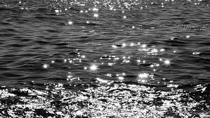 Take a simple digital photograph. Beautiful Black And White Sea Stock Footage Video 100 Royalty Free 26353844 Shutterstock