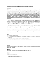 What are the three main parts of a cell? Bio Report 1 Staining Cell Biology