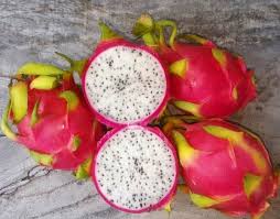 Die drachenfrucht, auch pitaya oder pithaya genannt, stammt von dem südamerikanischen waldkaktus (hylocereus monacanthus). Drachenfrucht Weiss Samen Bestellen Chili Shop24 De