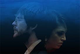 Fake Wood Wallpaper Films