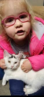 1 yrs ago Bella doing her work make clean the Table love ❤️ bella