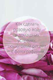программа тренировок для девушек в тренажерном зале для похудения с картинками Kak Sdelat Rozovuyu Vodu V Domashnih Usloviyah Slow Life Blog V 2020 G Rozovaya Voda Voda Naturalnaya Kosmetika