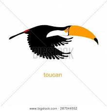 Download this premium vector about cartoon flying robin bird animation sprite sheet., and discover more than 12 million professional graphic resources on freepik. Cute Flying Toucan Vector Photo Free Trial Bigstock