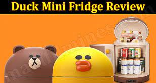 Duck Mini Fridge Review July 2021 Is The Device Legit