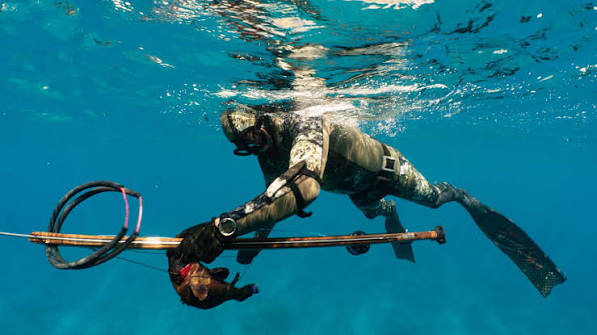 The Beginners Guide to Everything You Need to Know About Spearfishing Gear