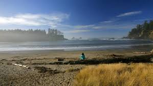 You can do some whale watching if that's you're jam in the early spring, and it's genuinely a beautiful spot year round. Celebrate Yurt Mas At Sunset Bay State Park