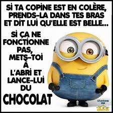 Europalette Just A Bit Of Imagination Required A Jigsaw Holesaw You Can Cre Marry Genres Litteraires Citations Les Plus Droles Blague Minion