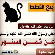 حكم بيع القطط السنور قناة يوسف شومان السلفية words islamic wallpaper mecca kaaba