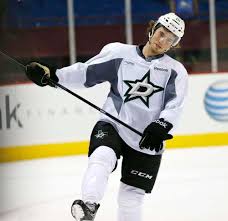 Image result for Glenniea