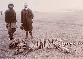 The Prince of Wales and his prize tiger that he shot on his hunting expedition into the Himalayas, Nepal, January 29, 1922. From left. Lord Cromer, Sir Lionel Halsey, The Prince of