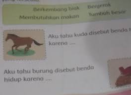Kuda disebut benda hidup karena. Aku Tahu Kuda Disebut Benda Hidup Karena Cara Golden