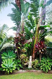5,128 free images of tropical plant. A Balinese Inspired Garden In Sydneys Northern Beaches In 2020 Tropical Landscape Design Tropical Garden Design Tropical Landscaping