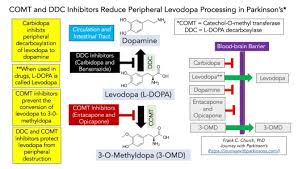 Image result for COMT Inhibitor
