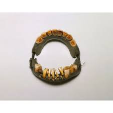 George Washington S False Teeth Not Made Of Wood But Rather Animal Teeth Other Human Teeth And Ivory George Washington Teeth Historical Facts