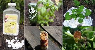 More on home & garden. Strange Ways To Use 30 Most Common Household Things In Your Garden Balcony Garden Web