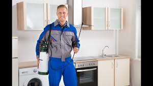 Fantastic pest control can send a pro to your property within 1 hour. Pest Control London 24 Hour Pest Removal Services Pest Exterminators